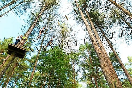 People zip-lining through trees at Go Ape Sherwood Pines