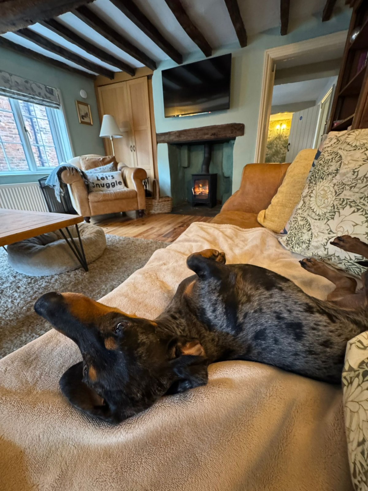 Sausage relaxing