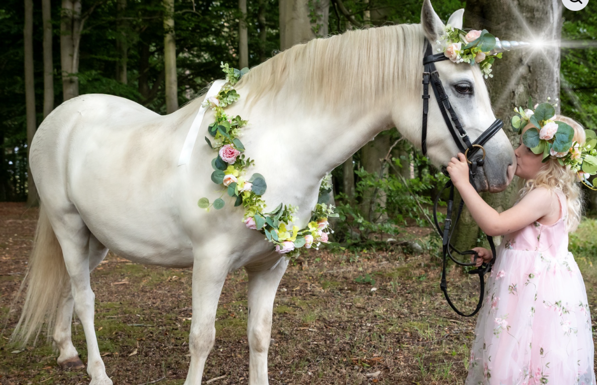 Children interacting with mini horses in woodland setting