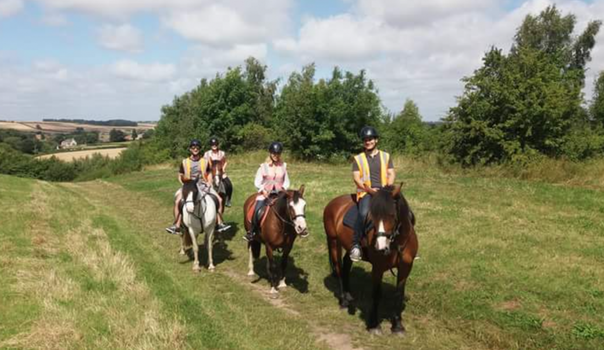 Horse riding trails in Derbyshire countryside