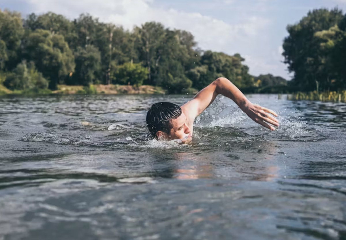 Open water swimmers at Hoveringham lake