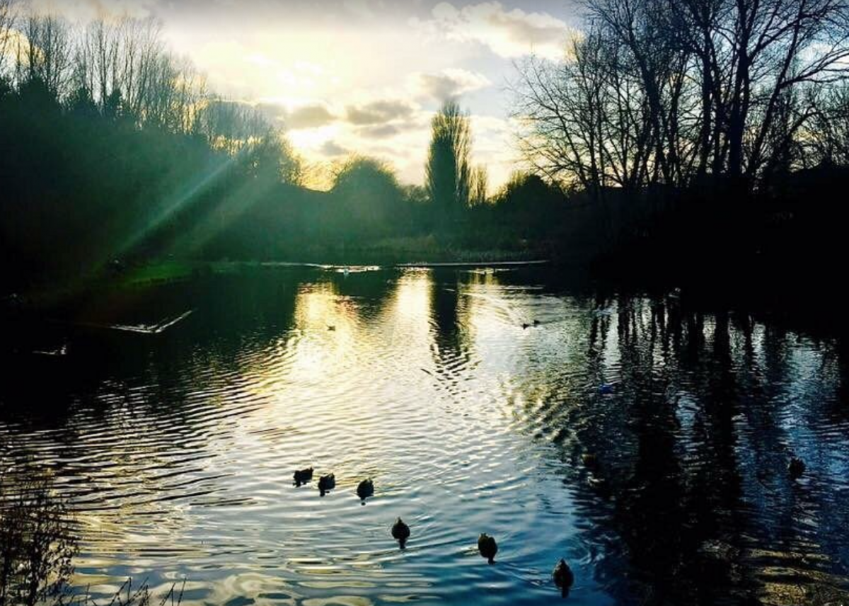 Lakeside trails and greenery at Vicar Water Country Park