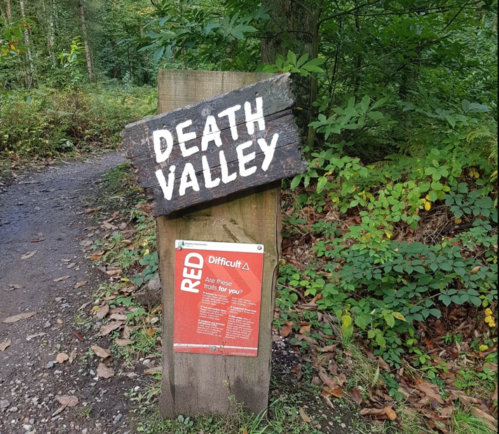 Mountain biker riding forest trail