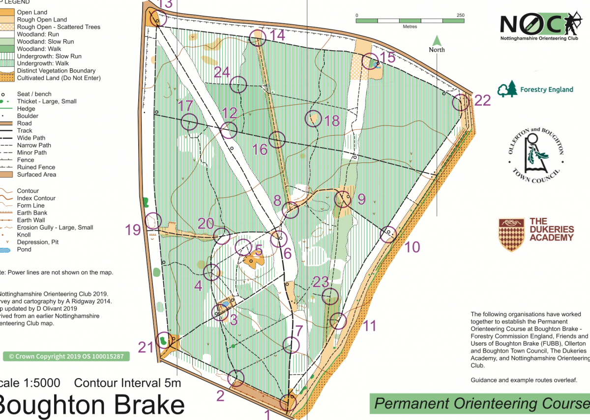 Orienteering control marker in woodland