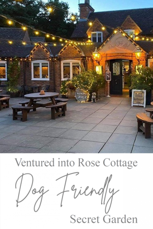 Dog friendly pub