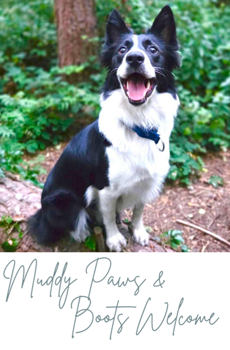 Muddy paws